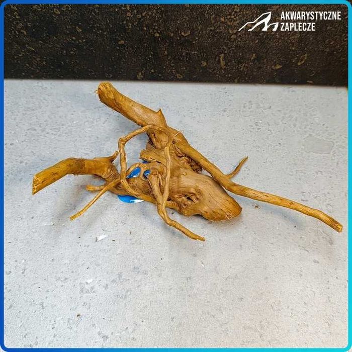 Korzeń Akwariowy - Red Moor - 26x18x10 cm Korzeń do akwarium DEKORACJA