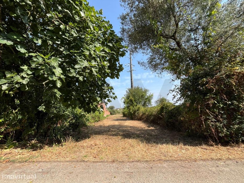 Terreno para construção de moradia unifamiliar em Cacia