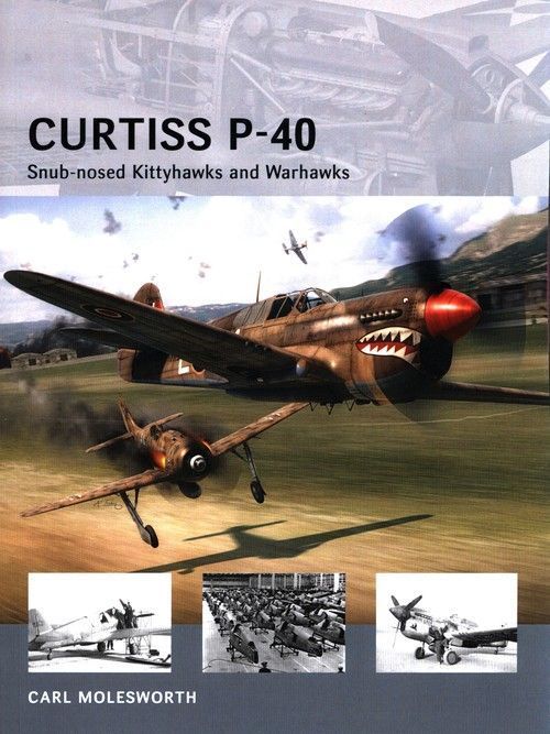 Curtiss P-40  Molesworth Carl
