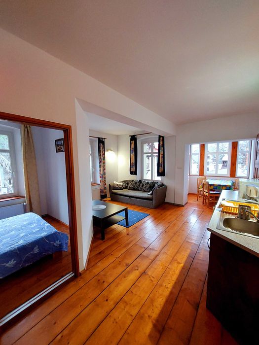 Apartamenty w centrum miasta. Wolne miejsca.