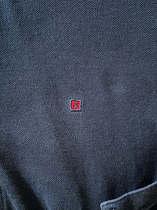 Polo Lion of Porches