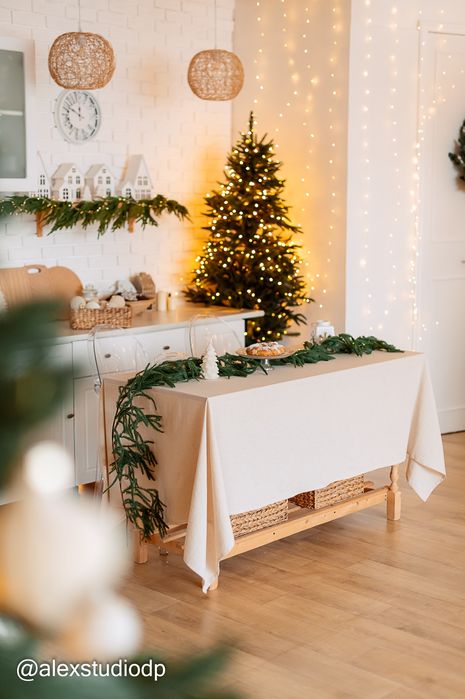 Фотостудія Дніпро.,Сімейна, Новорічна, Дитяча фотосесії. Оренда студії