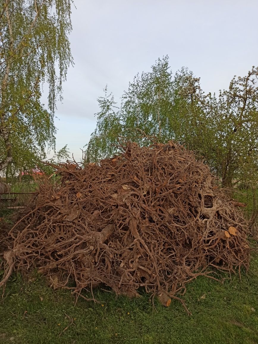 Karpy wiśni, drewno na opał