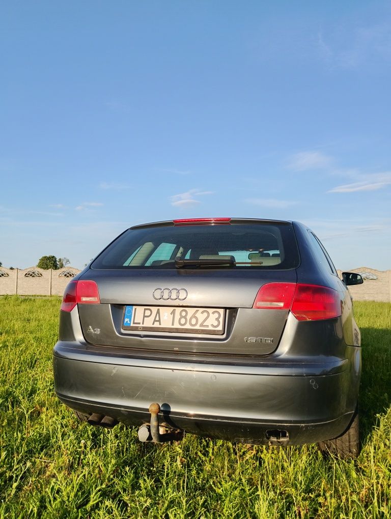 Audi A3 8P 1.9 TDI
