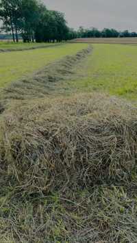 Oddam skoszoną trawę ( na sianko) za skoszenie