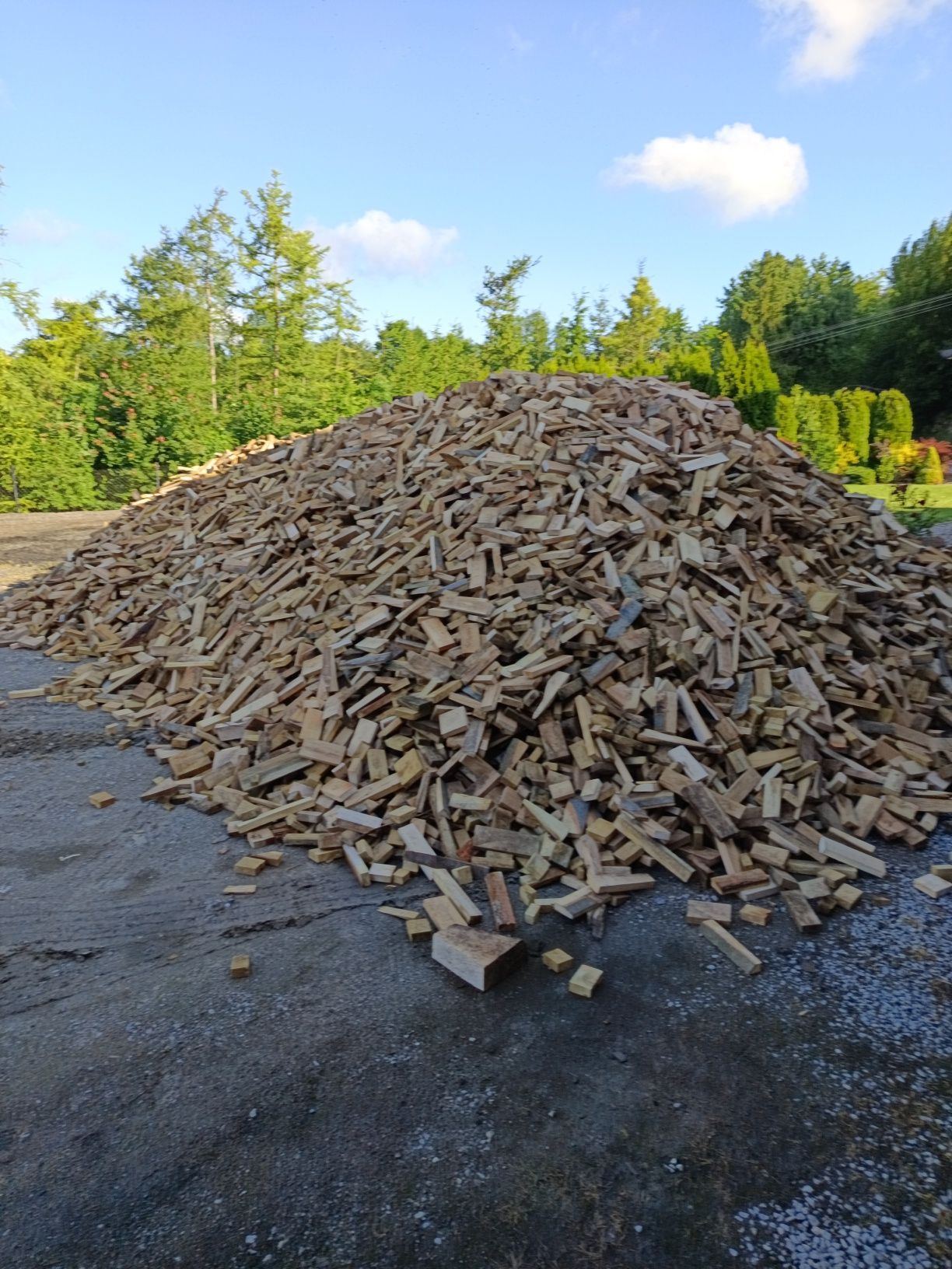 Drewno opałowe dąb pocięty i połupany 250zł