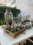 Vendo terrários e mini jardins