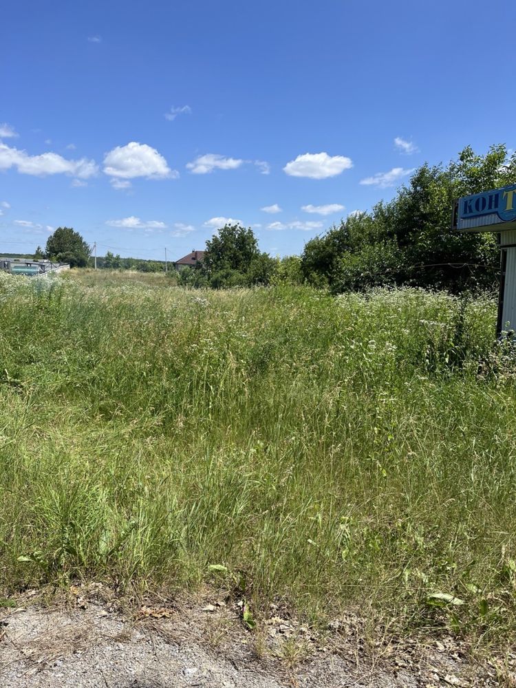 Косіння трави ,бурʼяну,газону вирізка кущів та дерев не дорого