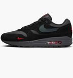 Кросівки Nike Air Max 1 Black (FV6910-001) 44.5
