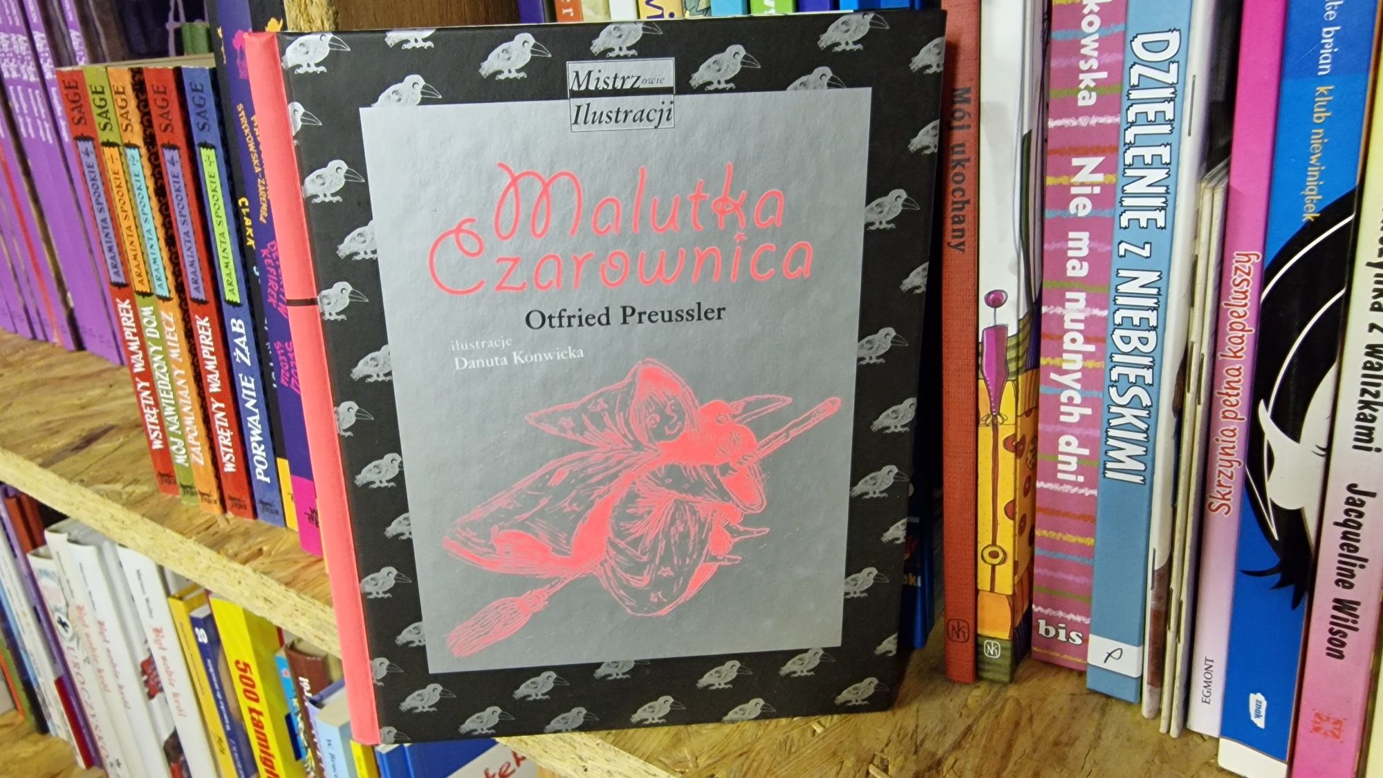 Malutka czarownica Preussler Mistrzowie Ilustracji jak nowa