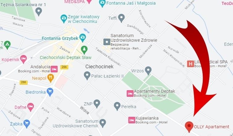 NOCLEGI w Ciechocinku apartament z widokiem na ogród parking solanki