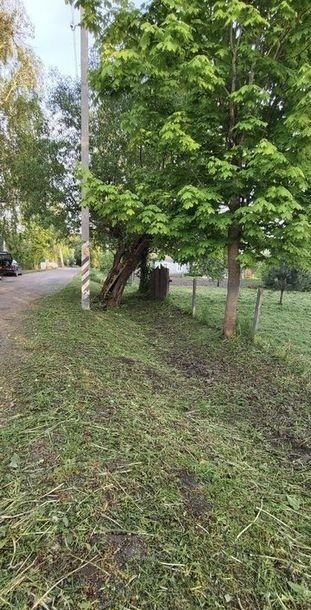 Послуги з прибирання території та догляд за садом Бучанський район