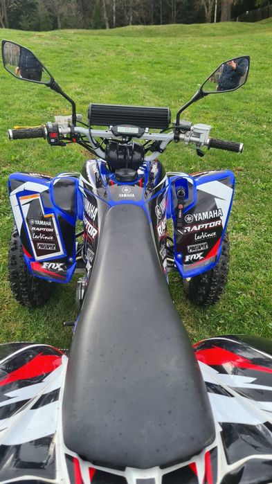 Yamaha Raptor YFM350R