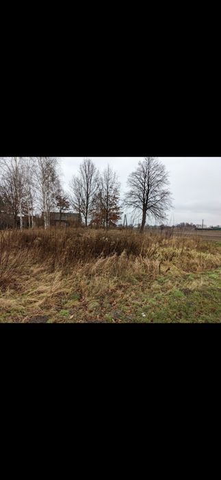 Prace ogrodowe, przycinanie tui, koszenie trawy, porządkowanie działek