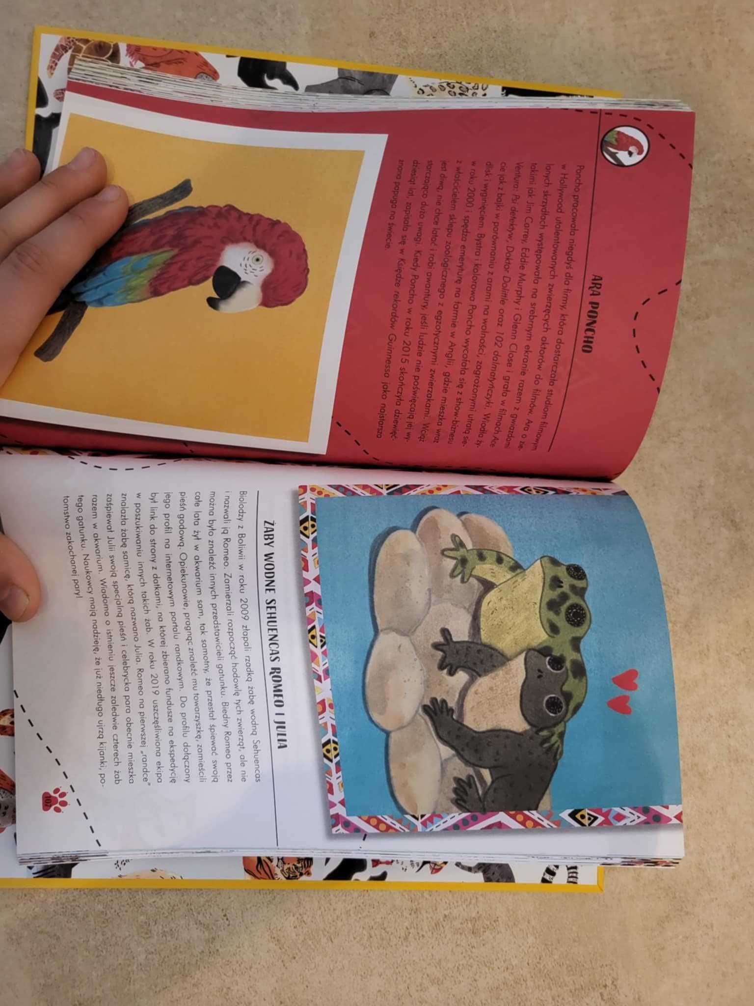 Opowieść o dzikich zwierzętach, które mogą wyginąć- książka