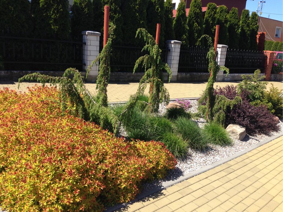 Kompleksowe uslugi ogrodnicze