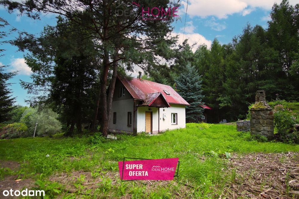 Działka na sprzedaż Tyczyn 50,85A- z małym domkiem