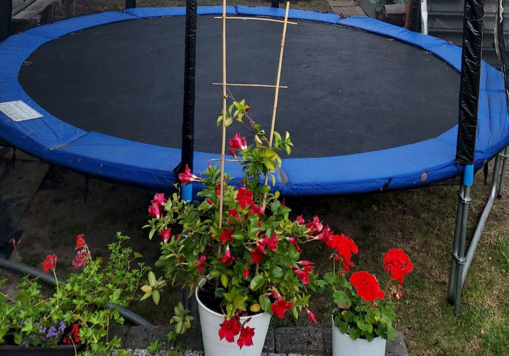 Trampolina 305 cm
