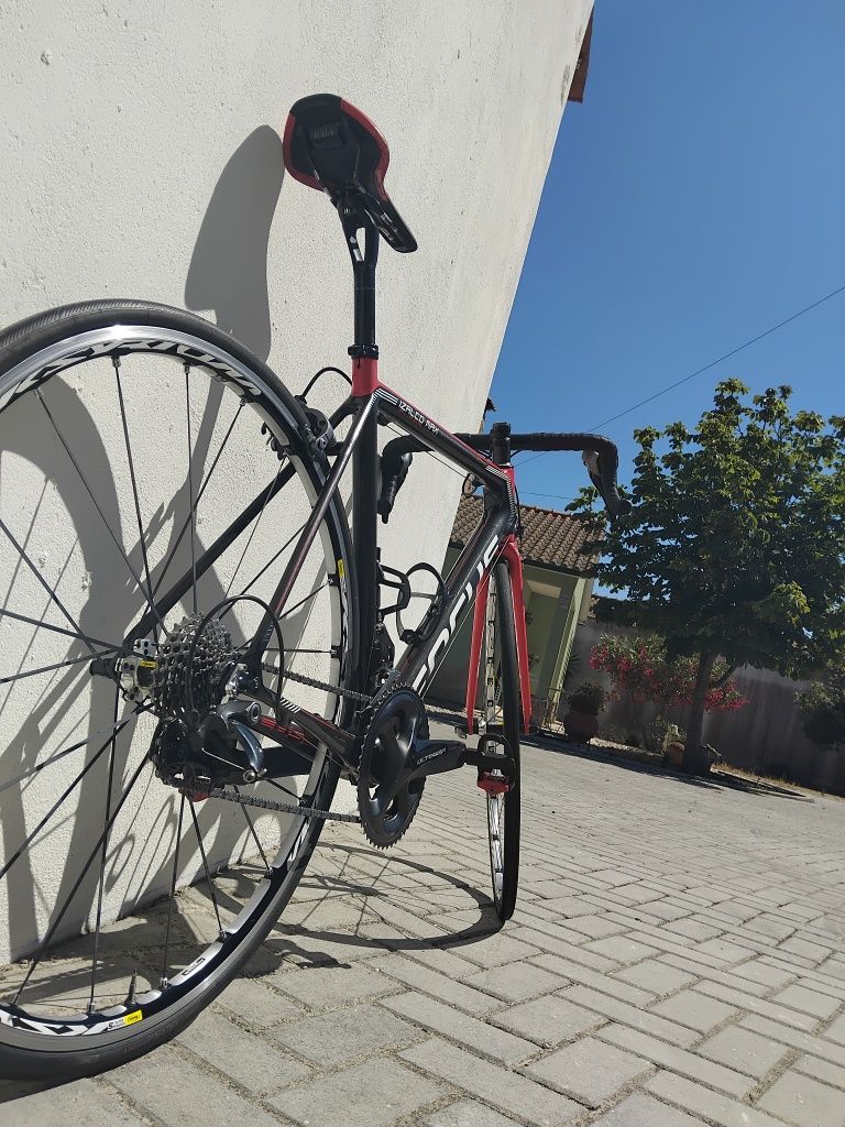 Bicicleta Estrada Focus izalco max