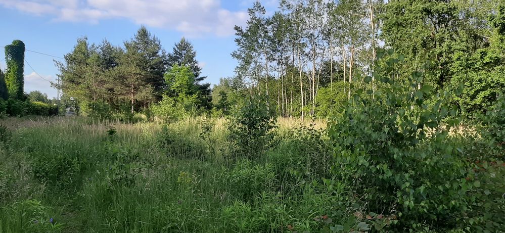 Działka 2000 m2 Głosków