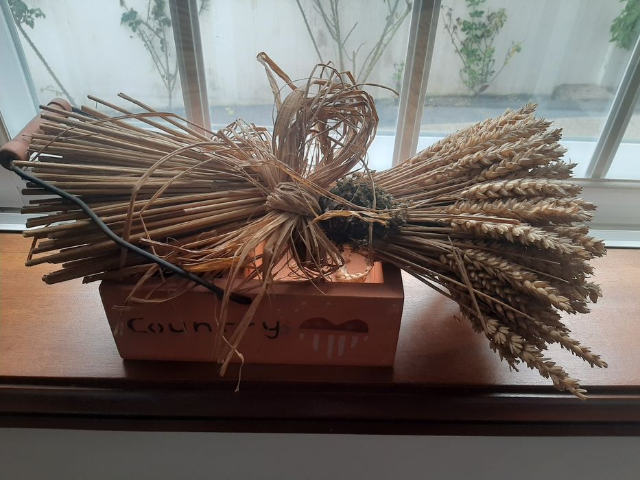 Potes rústicos variados