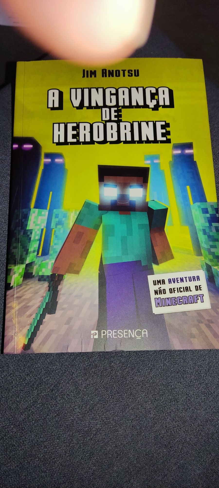 Livro A vingança de herobrine, Minecraft