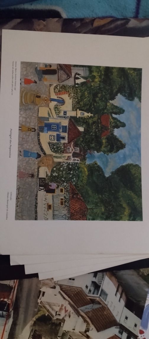 Pinturas de coimbra