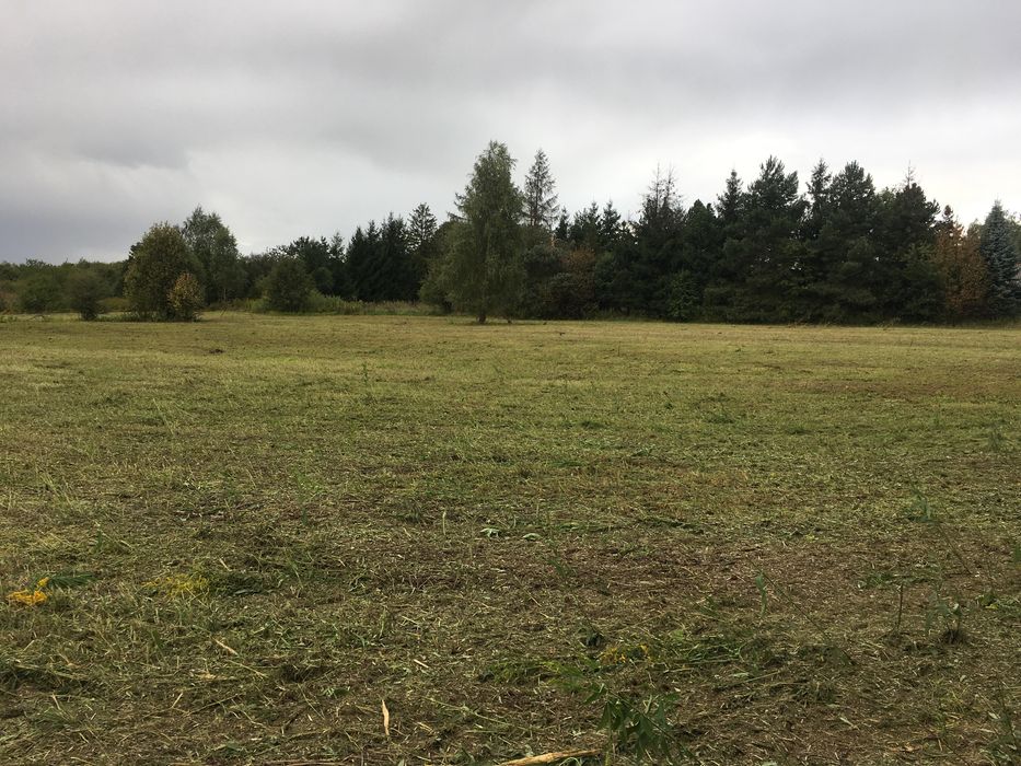 Koszenie molulczerem, mulczowanie traw, łąk, nieużytków,rowów,skarp