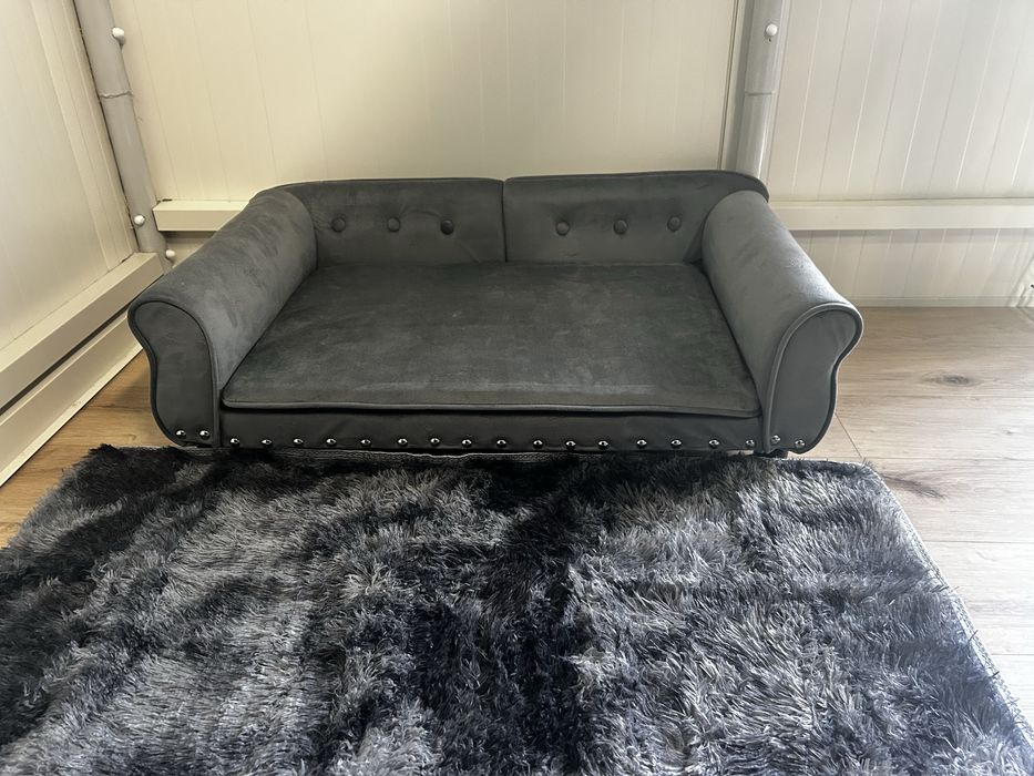 Hotel dla psów miejsce z pasją