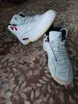 Air Jordan 12 Retro