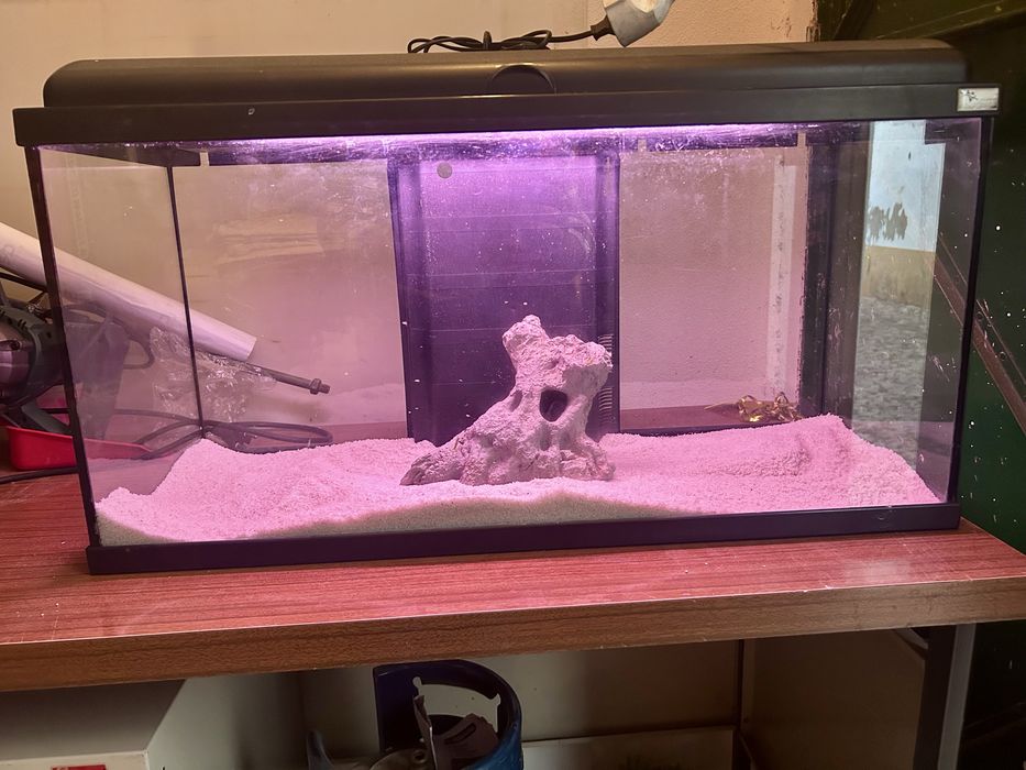 Aquario 100Litros