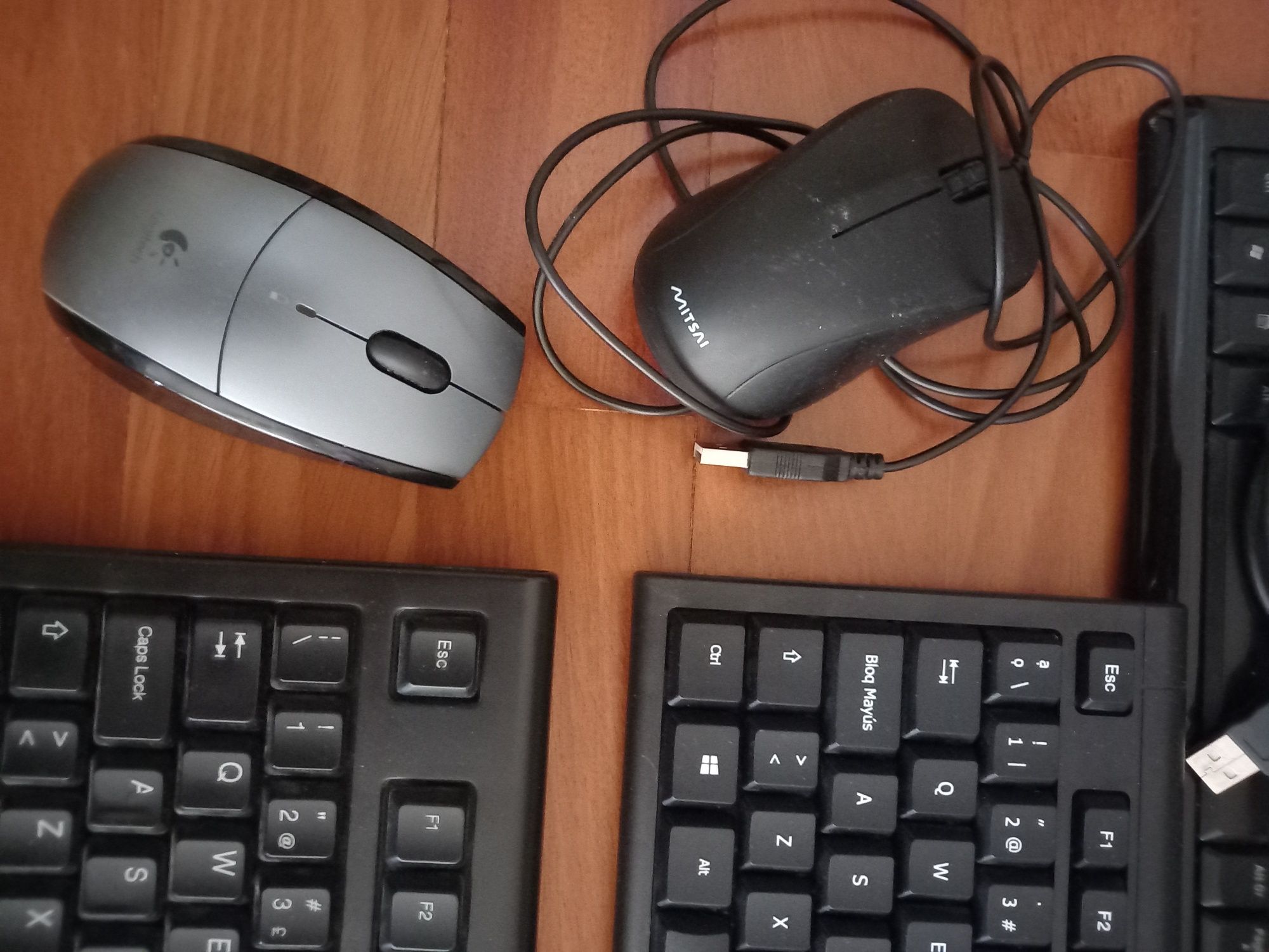 Conj. Monitor, teclados e ratos