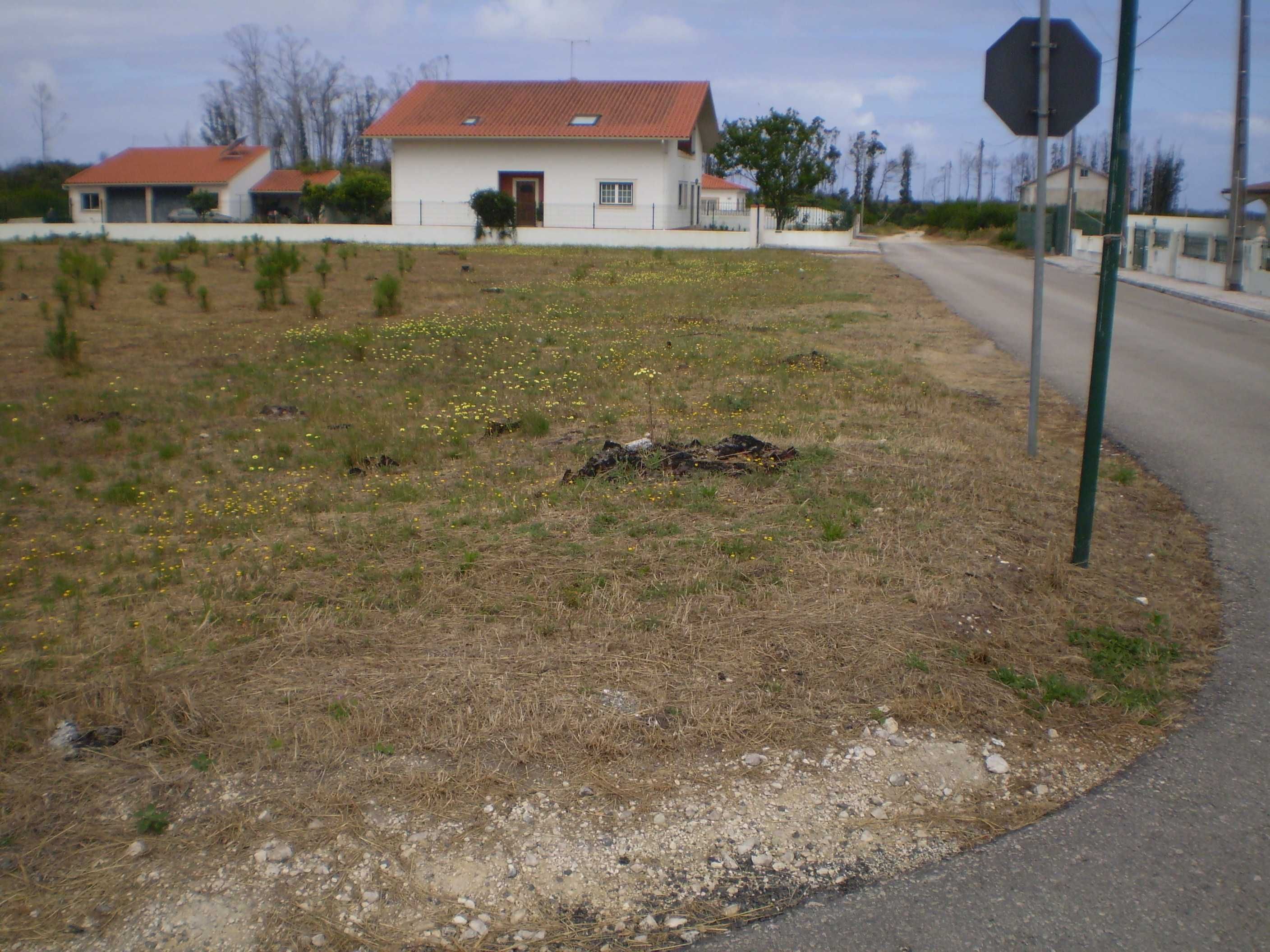 Terreno para construção/investimento