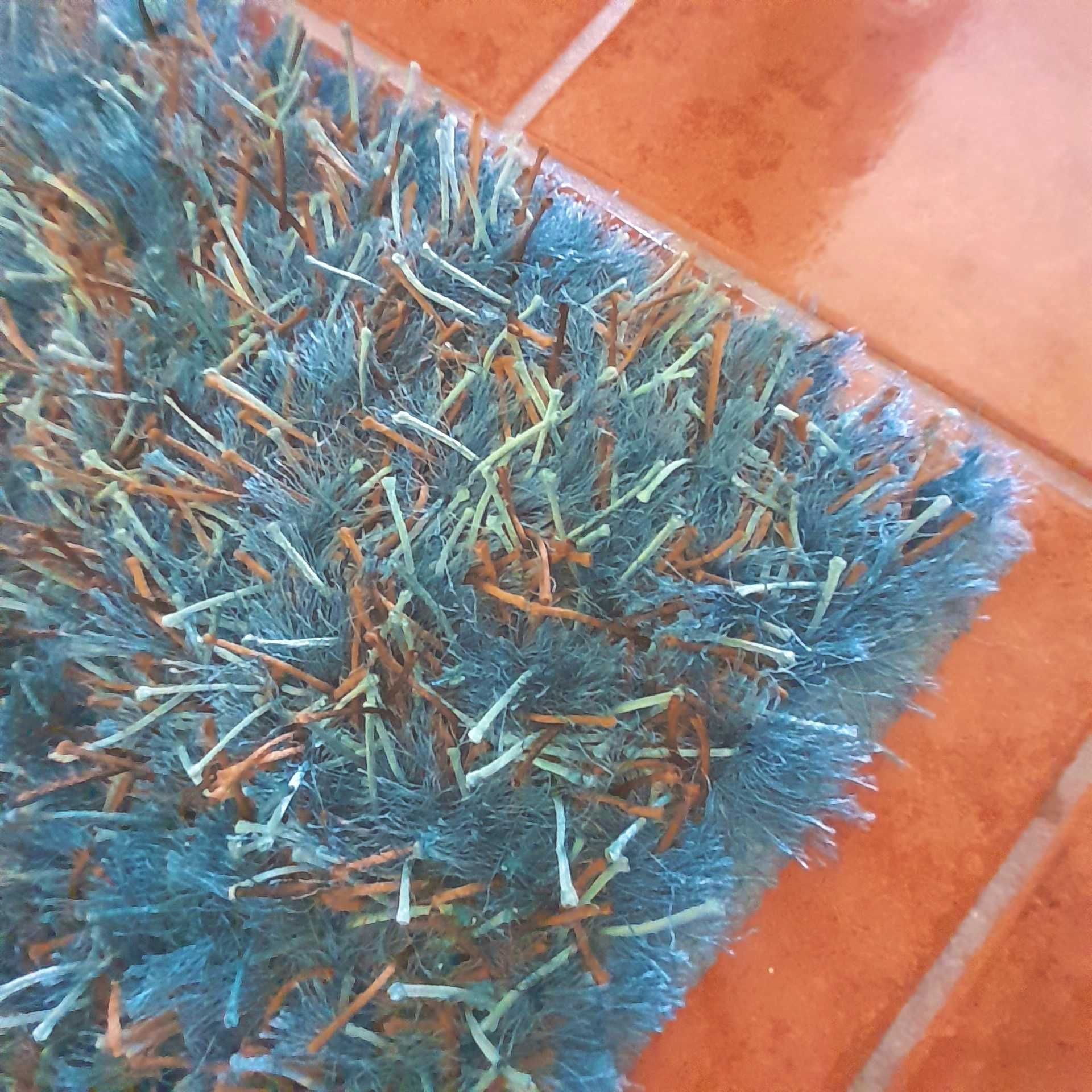 Tapetes para a sala marca Gato Preto