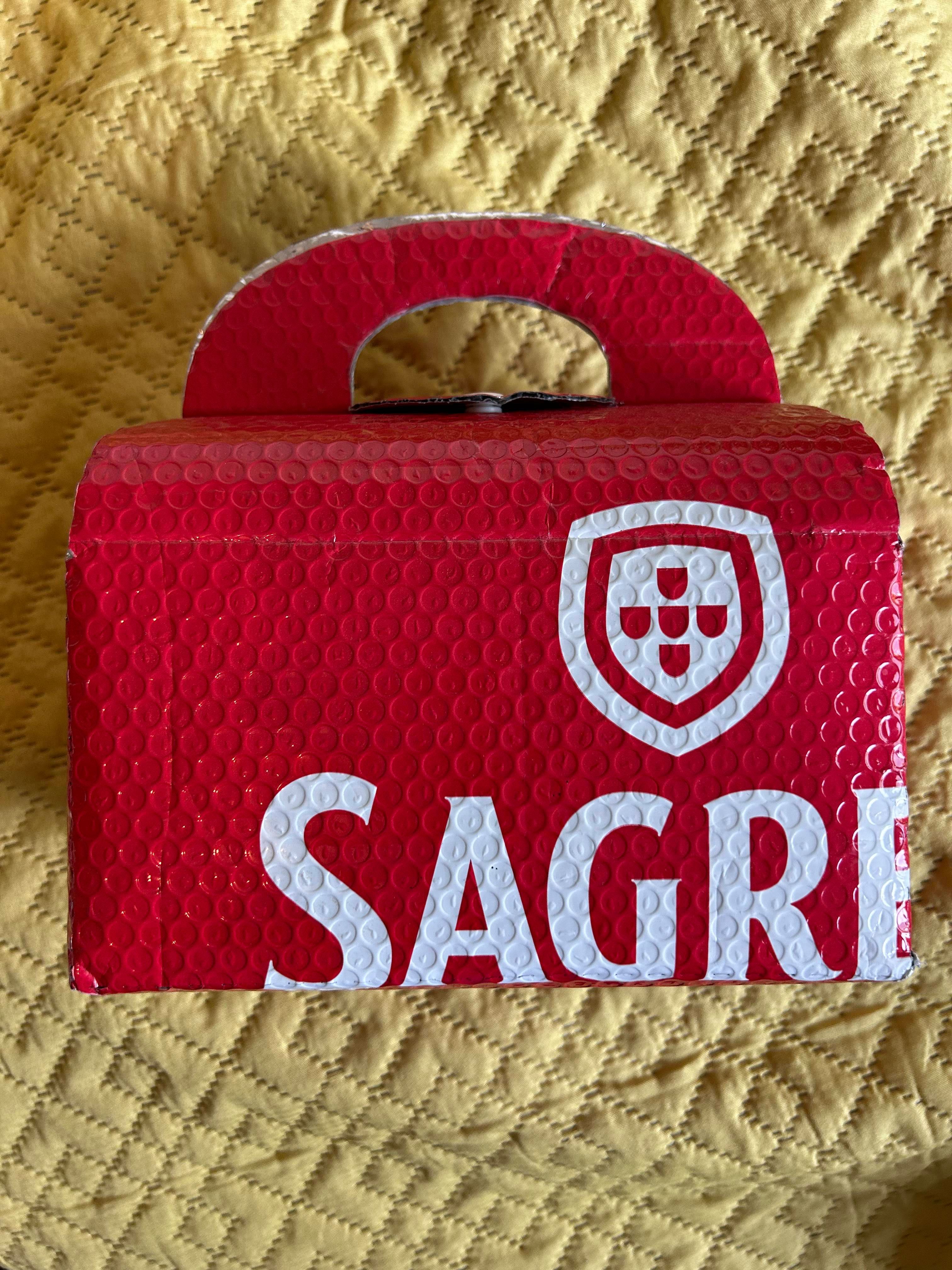 Estojo Térmico/Proteção / mala de transporte – Sagres Cerveja