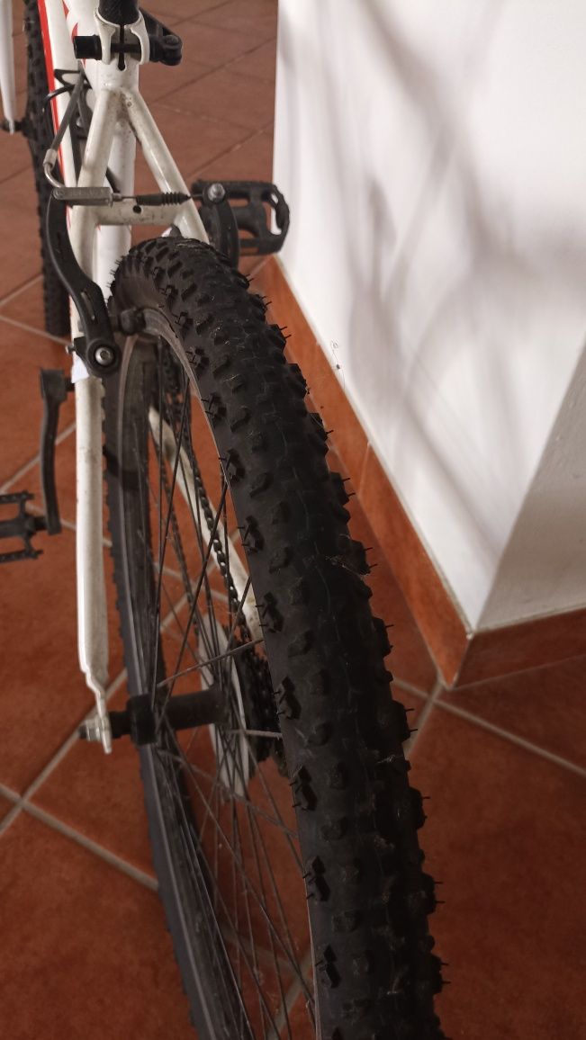Bicicleta de adulto
