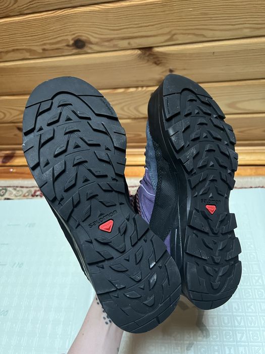 жіночі черевики Salomon X-Alp Mid LTR GTX