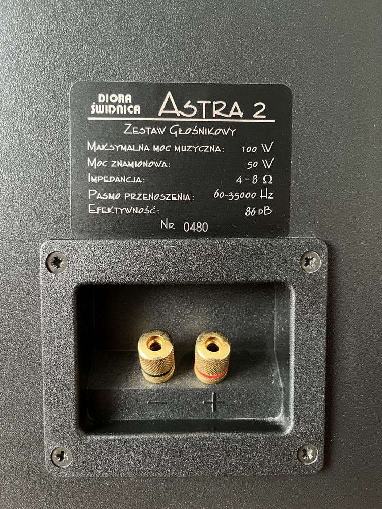 Kolumny głośnikowe Diora Astra 2 100W