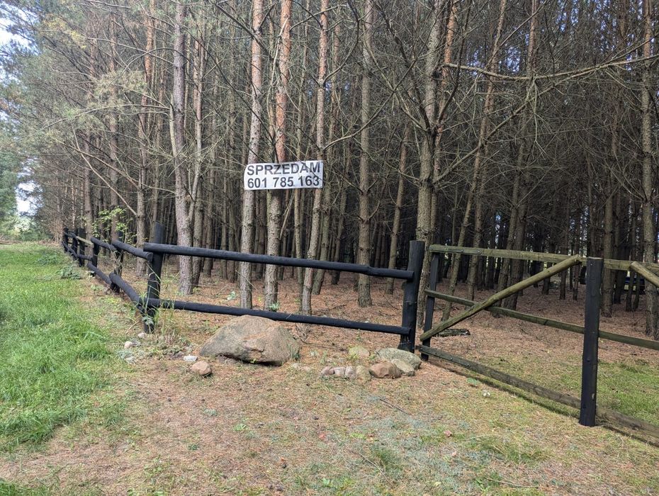 Działka w Ostrowinie