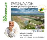 Bibianna, jedyna tak miejscowość w Polsce