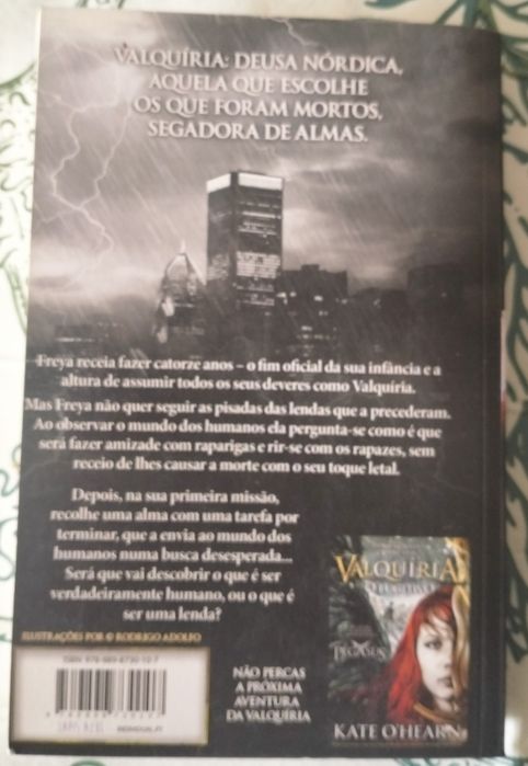 Livro - Valquíria