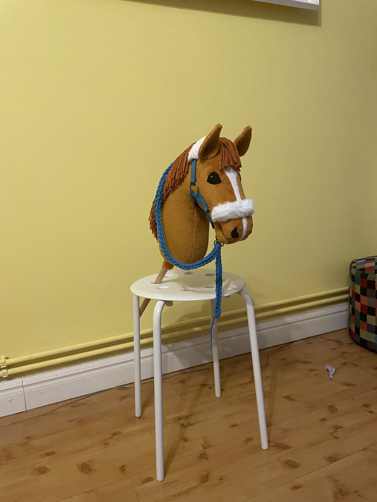 Hobby horse koń na kiju