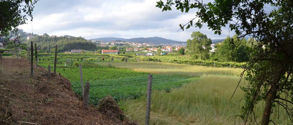 Quinta Rústica com Moradia para restauro  e Acesso ao Rio