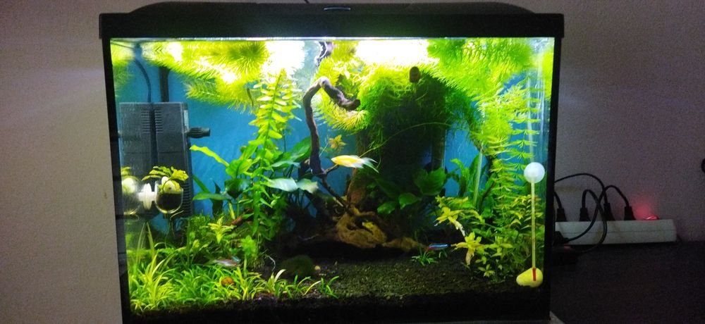 Акваріум "Природа", 52 л.
