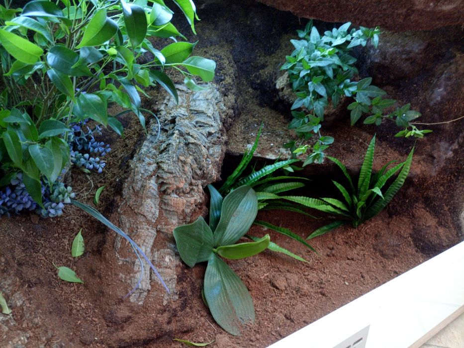 Terrarium nr121 tropikalne dla węża BOA PYTONA 120/45/45 NA ZAMÓWIENIE