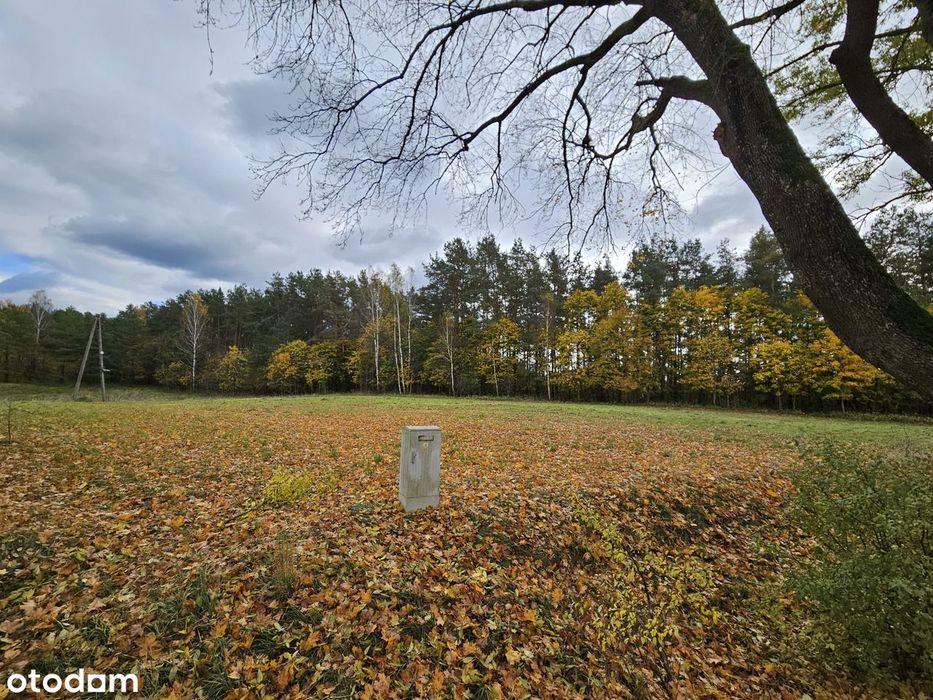 Nowa Wieś, gmina Purda, działka rolna z warunkami zabudowy.