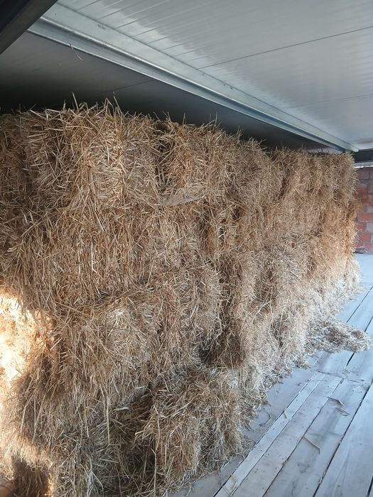 Fardos de feno pequenos e bolas