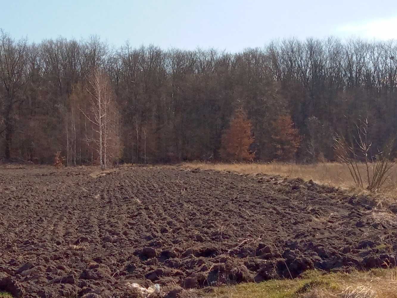 Земельна ділянка. Хата. Річка, ліс. Фастівський район