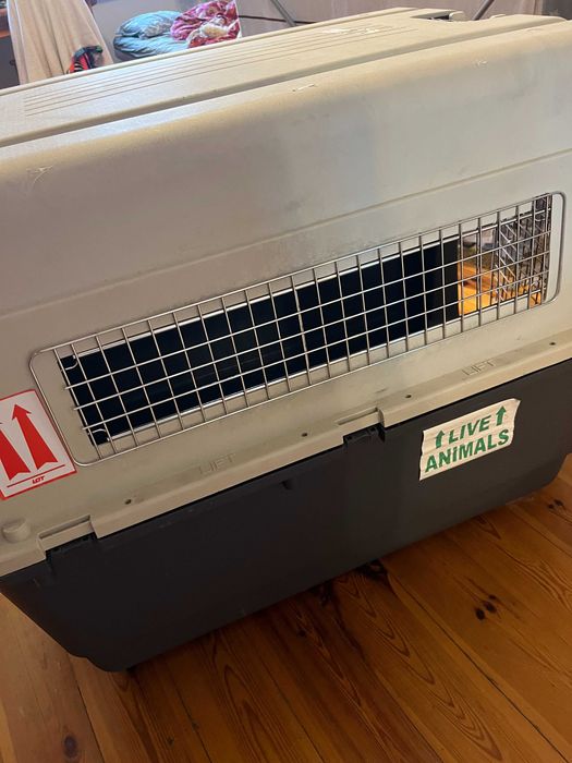 Klatka dla psa KENNEL do podróży lot XXL