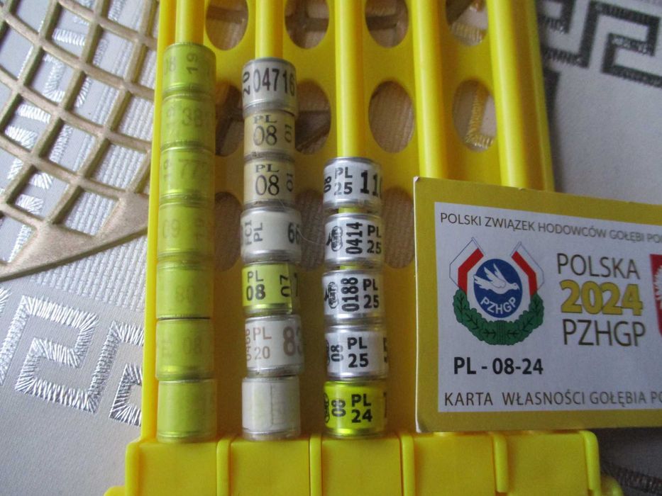 obrączki dla gołębi